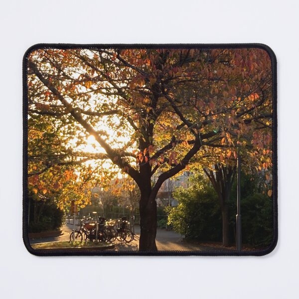 Item preview, Autumn Glow in a Neighborhood Park designed and sold by JapanStudio123.