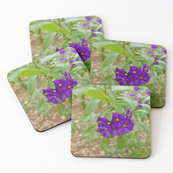 Item preview, spring bloom, Paraguay nightshade designed and sold by Lunar-Dragon.