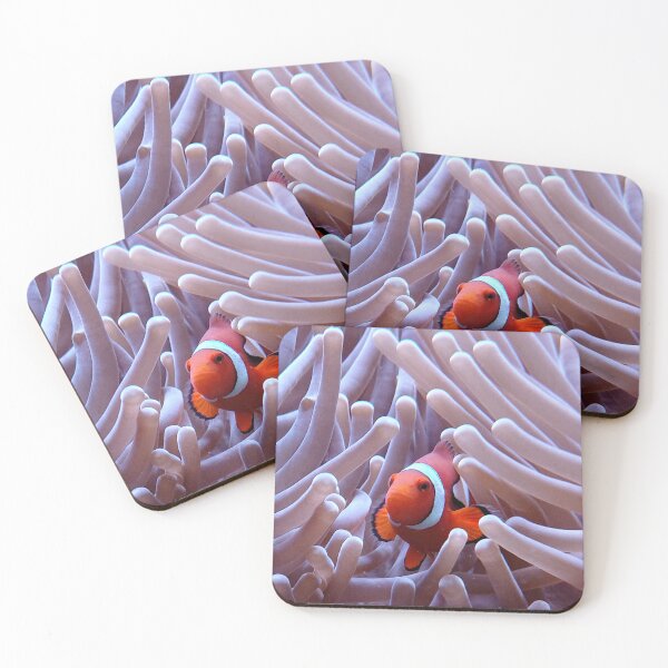 Item preview, Clownfish Nestled in Sea Anemone | Vibrant Underwater Marine Life Photography designed and sold by pbchan.