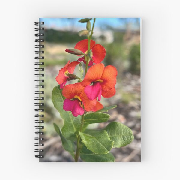 Item preview, Native Flame Pea – Vibrant Australian Wildflower Botanical Photography designed and sold by Be Captured by Brittany Emma.