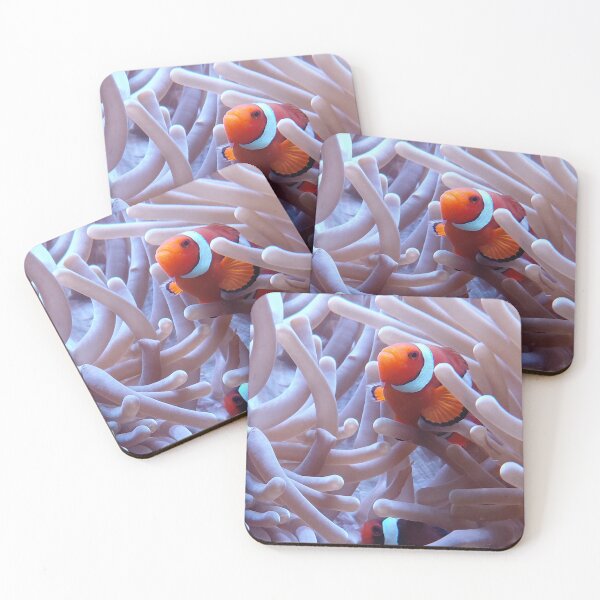 Item preview, Pair of Clownfish in Sea Anemone  Underwater Coral Reef Photography designed and sold by pbchan.