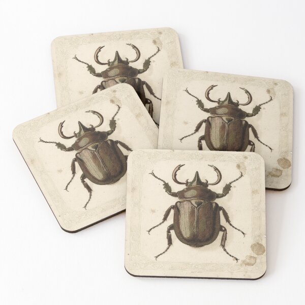 Item preview, Vintage Rhinoceros Beetle Specimen Natural History Plate designed and sold by PictorialWhimsy.