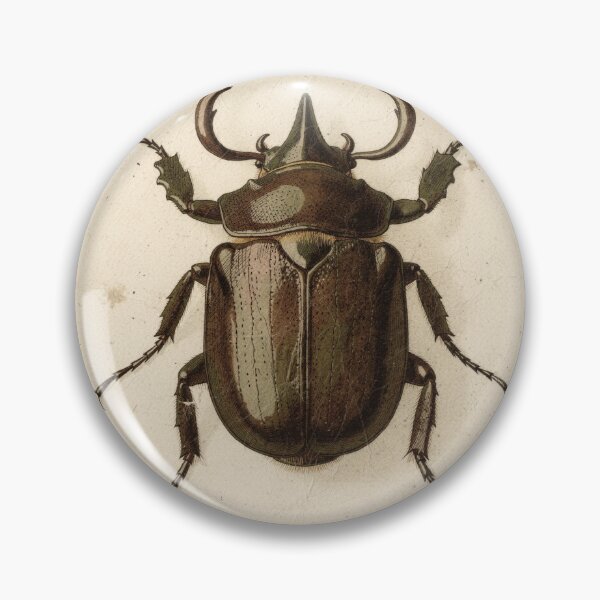 Item preview, Vintage Rhinoceros Beetle Specimen Natural History Plate designed and sold by PictorialWhimsy.