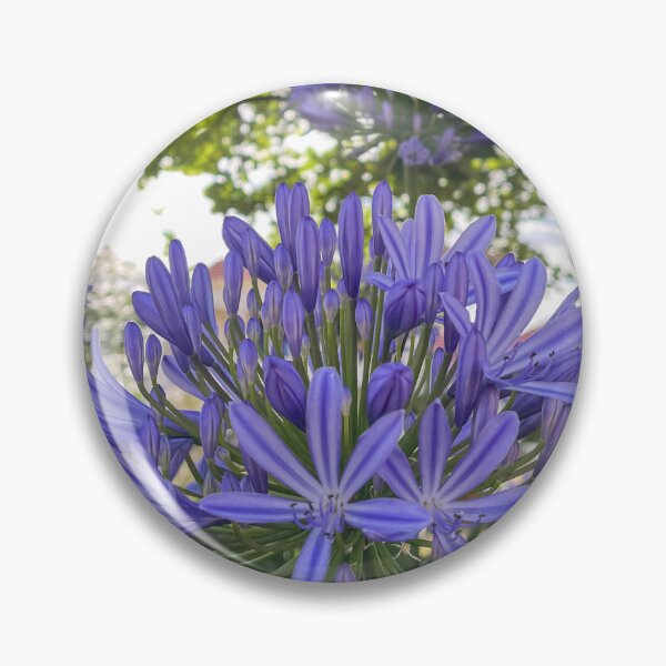 Item preview, Purple Agapanthus – Elegant Botanical Garden Flower Photography designed and sold by Be Captured by Brittany Emma.