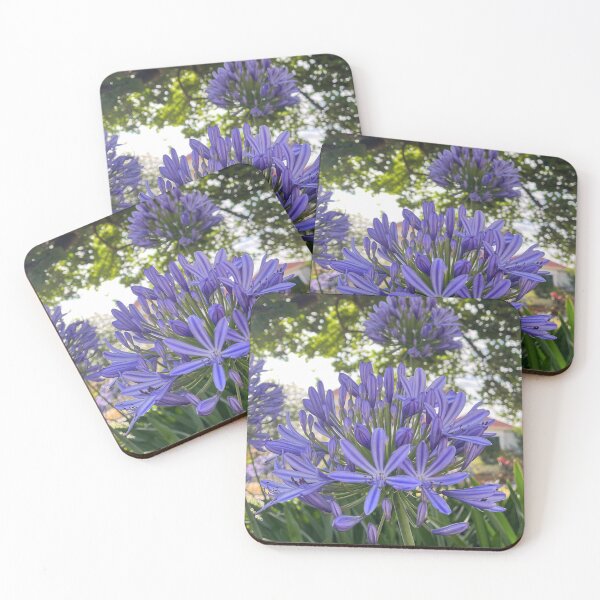 Item preview, Purple Agapanthus – Elegant Botanical Garden Flower Photography designed and sold by Be Captured by Brittany Emma.