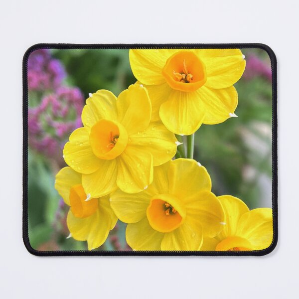Item preview, Bright Yellow Daffodils – Spring Garden Floral Photography designed and sold by Be Captured by Brittany Emma.