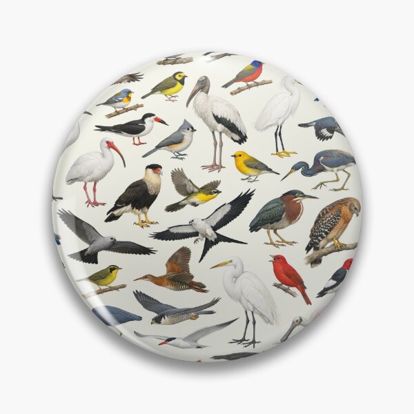 Item preview, Native Birds of Louisiana Retro Style Identification Chart designed and sold by kakarikihill.