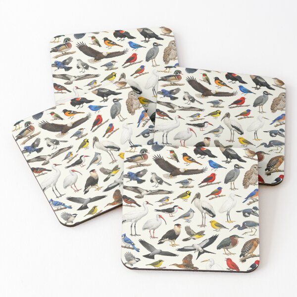 Item preview, Native Birds of Louisiana Retro Style Identification Chart designed and sold by kakarikihill.