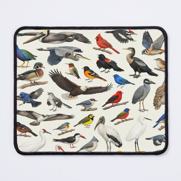 Item preview, Native Birds of Louisiana Retro Style Identification Chart designed and sold by kakarikihill.