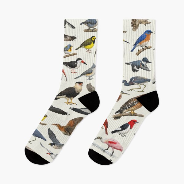 Item preview, Native Birds of Louisiana Retro Style Identification Chart designed and sold by kakarikihill.