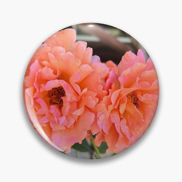 Item preview, Apricot Floribunda Rose – Elegant Botanical Flower Photography designed and sold by Be Captured by Brittany Emma.