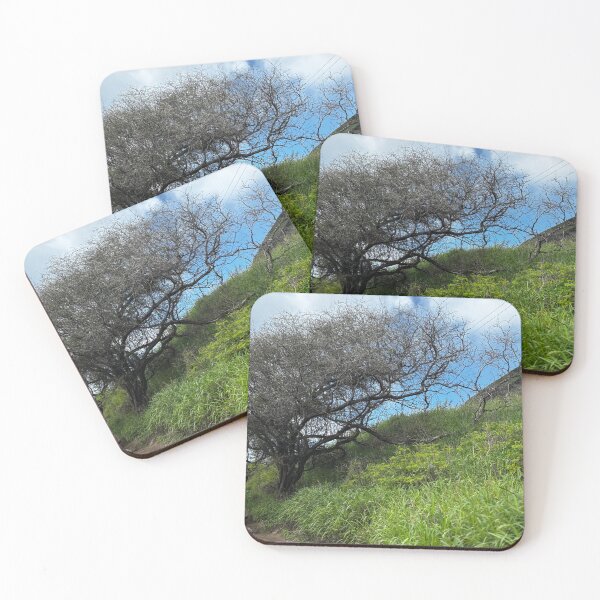 Item preview, Hiking Oahu designed and sold by Feministaurus.