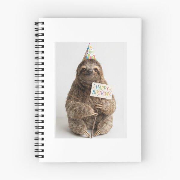 Item preview, Sloth happy birthday placard placards cute kawaii party hat adorable meme memes designed and sold by CheeseBlueprint.