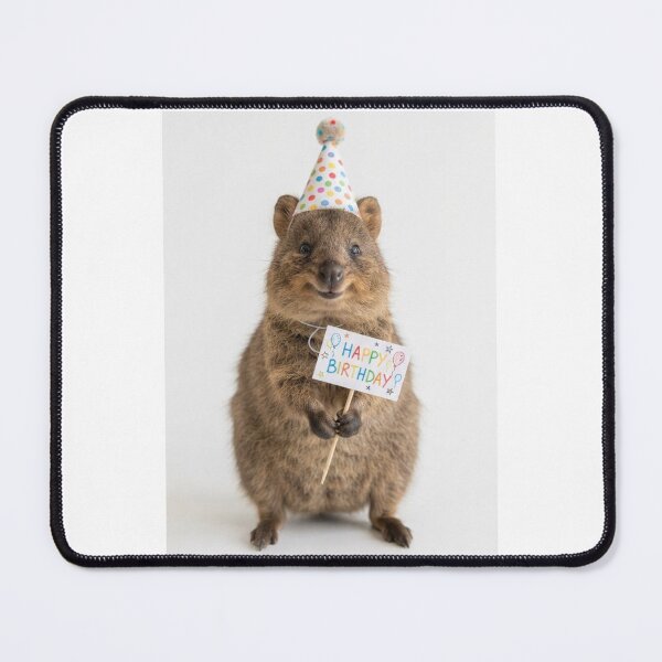 Item preview, Quokka happy birthday placard placards cute kawaii party hat adorable meme memes designed and sold by CheeseBlueprint.