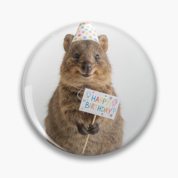 Item preview, Quokka happy birthday placard placards cute kawaii party hat adorable meme memes designed and sold by CheeseBlueprint.