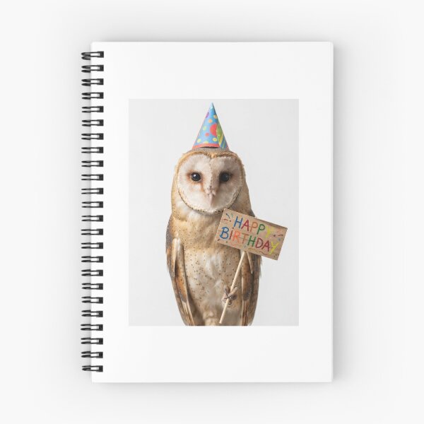 Item preview, Owl happy birthday placard placards cute kawaii party hat adorable meme memes designed and sold by CheeseBlueprint.