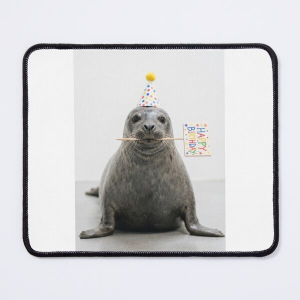 Item preview, Seal happy birthday placard placards cute kawaii party hat adorable meme memes designed and sold by CheeseBlueprint.