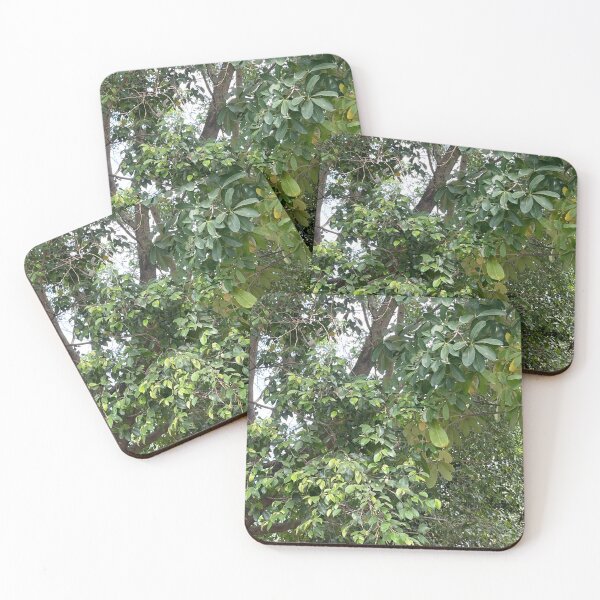 Item preview, Green Tree Photo designed and sold by eliamayor.