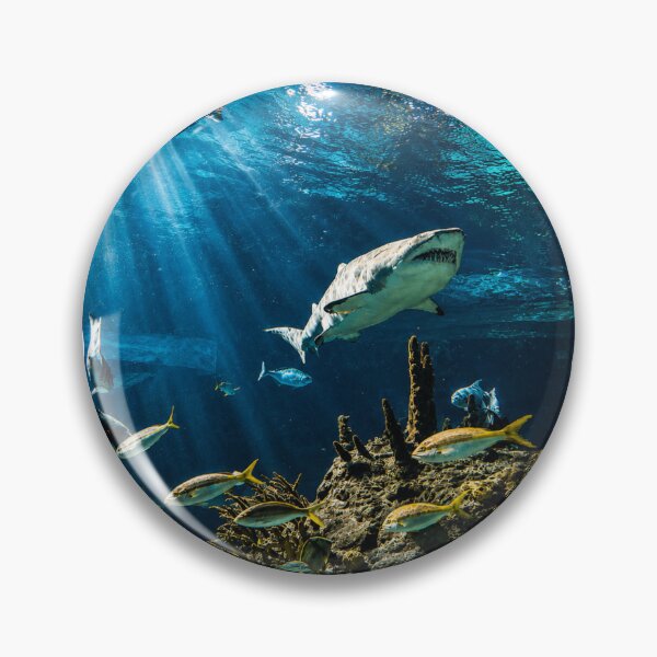 Item preview, Shark week designed and sold by Petals and pearls.