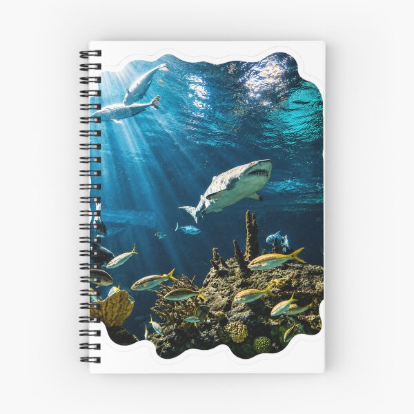 Item preview, Shark week designed and sold by Petals and pearls.