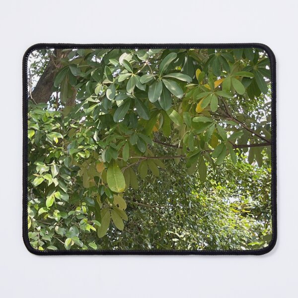 Item preview, Tree Good designed and sold by eliamayor.