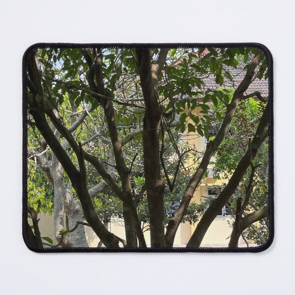 Item preview, Bright Tree Summer designed and sold by eliamayor.