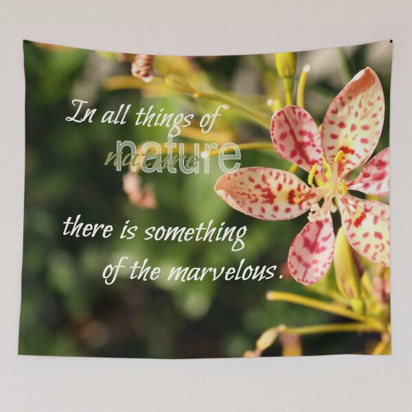 Item preview, All Things of Nature designed and sold by redrose12.
