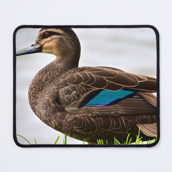 Item preview, Single Brown Duck designed and sold by Likoca Photography.