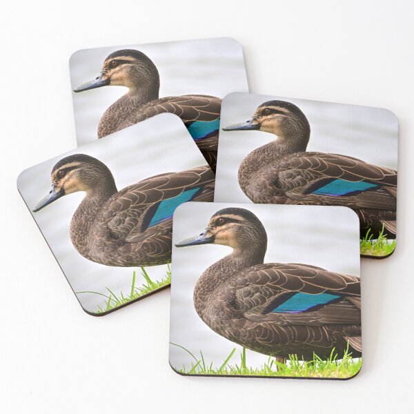 Item preview, Single Brown Duck designed and sold by Likoca Photography.