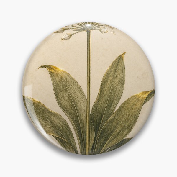 Item preview, Wild Garlic Ramsons | Spring Foraging Botanical Art | Woodland Forager Gift designed and sold by Brackenlume Studio.