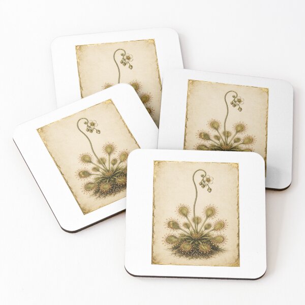 Item preview, Sundew Carnivorous Plant | Vintage Botanical Specimen Art | Botany Geek Gift designed and sold by Brackenlume Studio.