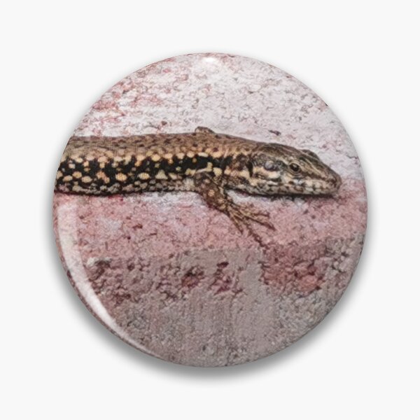 Item preview, The lizard sunbathing designed and sold by BooView.