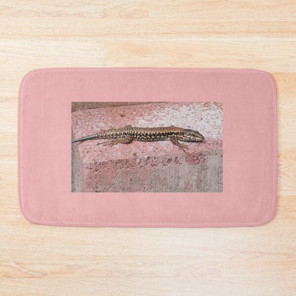 Item preview, The lizard sunbathing designed and sold by BooView.