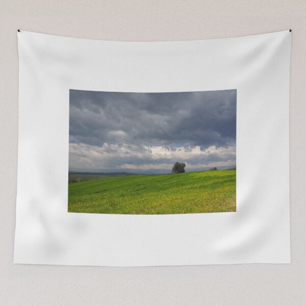 Item preview, Dramatic Storm Clouds Over a Green Meadow Landscape designed and sold by onubi.