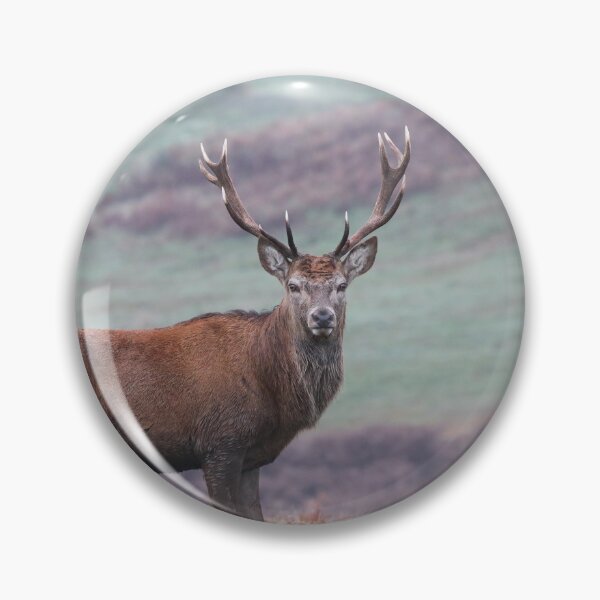 Item preview, majestic stag on moorland designed and sold by alcame-photo.