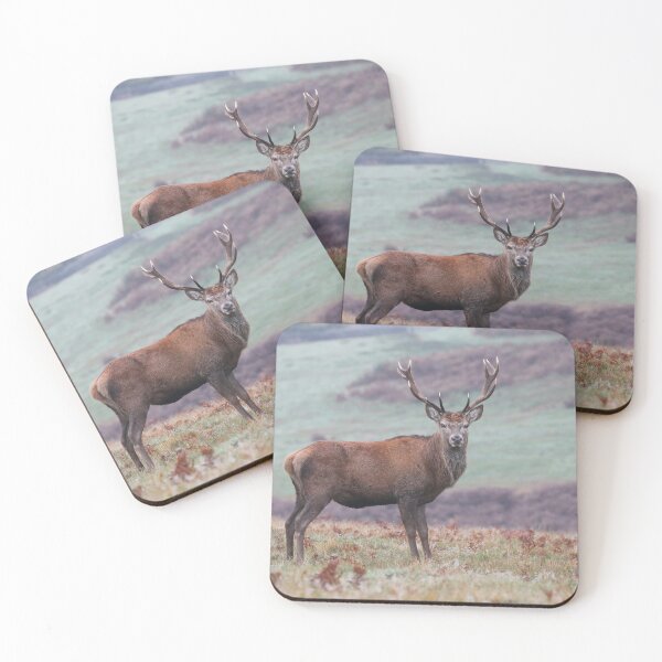 Item preview, majestic stag on moorland designed and sold by alcame-photo.