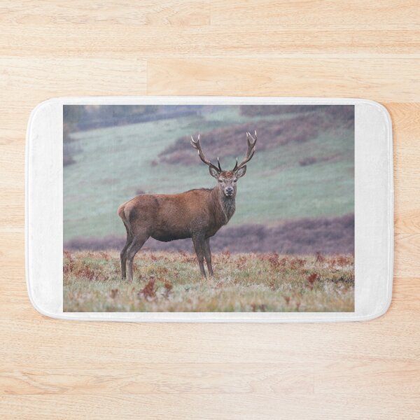 Item preview, majestic stag on moorland designed and sold by alcame-photo.