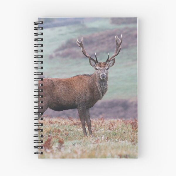 Item preview, majestic stag on moorland designed and sold by alcame-photo.