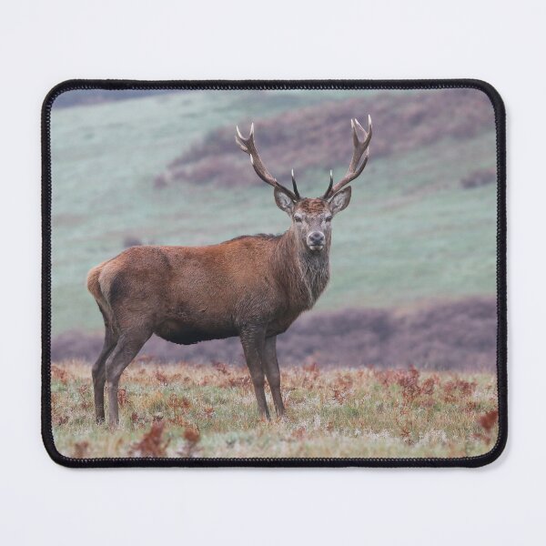Item preview, majestic stag on moorland designed and sold by alcame-photo.