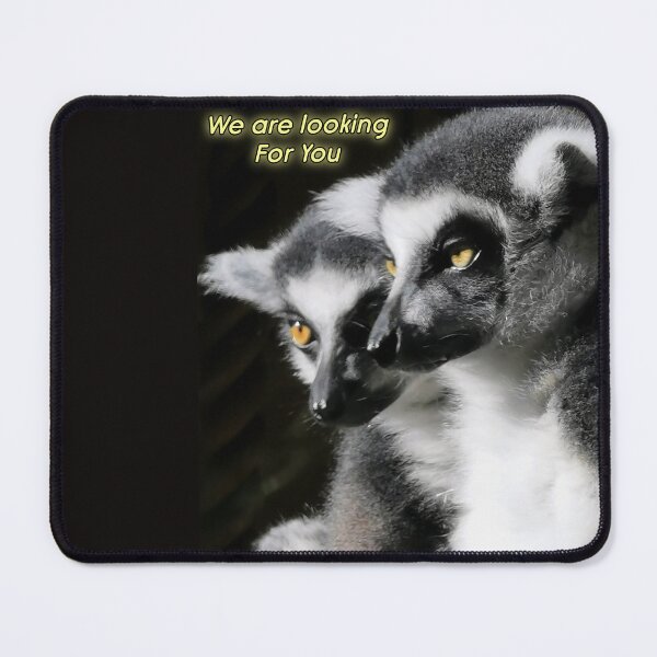 Item preview, We are looking for you designed and sold by BooView.