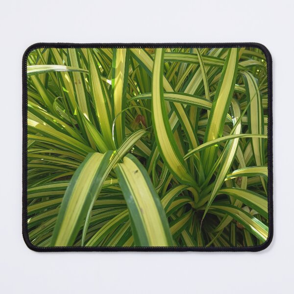 Item preview, Variegated Tropical Green Leaves in Sunlight, Lush Garden Foliage Background designed and sold by PhuongVoArt.