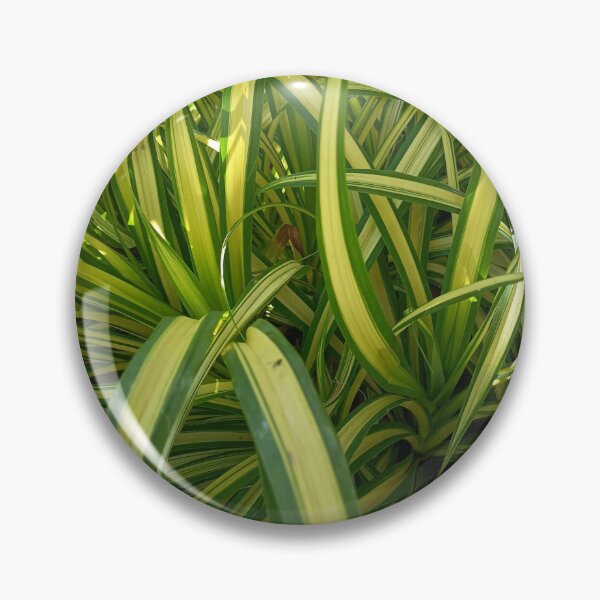 Item preview, Variegated Tropical Green Leaves in Sunlight, Lush Garden Foliage Background designed and sold by PhuongVoArt.