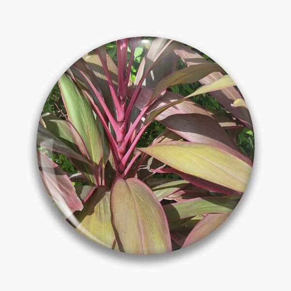 Item preview, Ti Plant with Vibrant Red and Burgundy Leaves in a Tropical Garden designed and sold by PhuongVoArt.