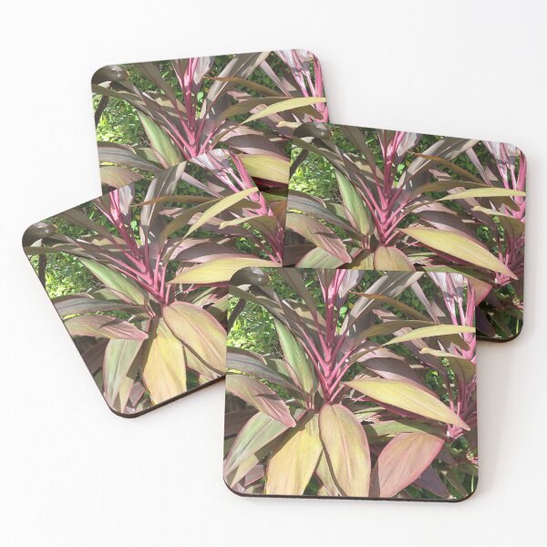 Item preview, Ti Plant with Vibrant Red and Burgundy Leaves in a Tropical Garden designed and sold by PhuongVoArt.