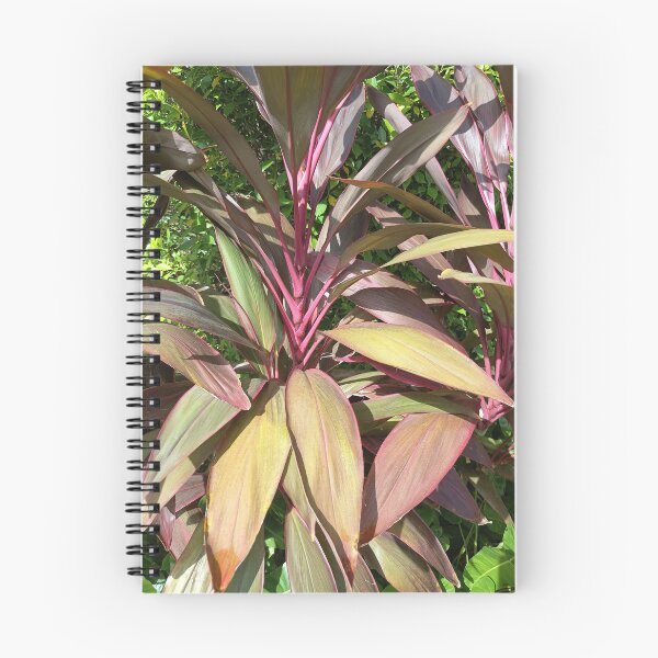 Artikelvorschau, Ti Plant with Vibrant Red and Burgundy Leaves in a Tropical Garden entworfen und verkauft von PhuongVoArt.