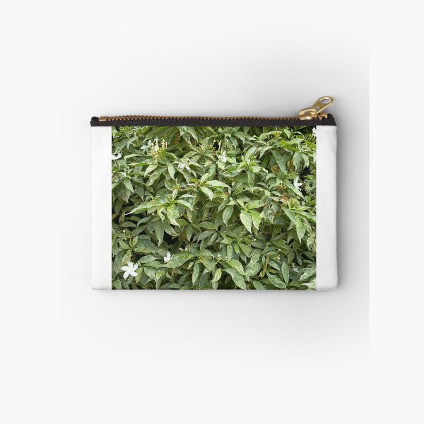 Item preview, Variegated Crepe Jasmine with White Flowers in a Tropical Garden designed and sold by PhuongVoArt.