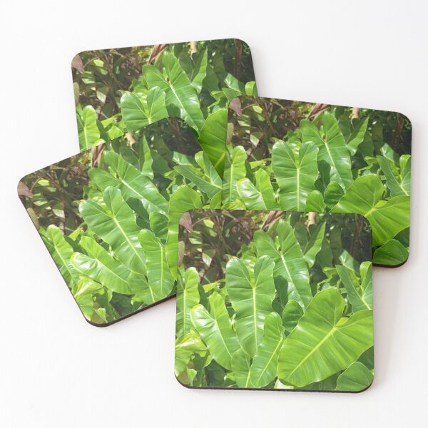 Item preview, Glossy Tropical Elephant Ear Leaves in Bright Sunlight Garden designed and sold by PhuongVoArt.