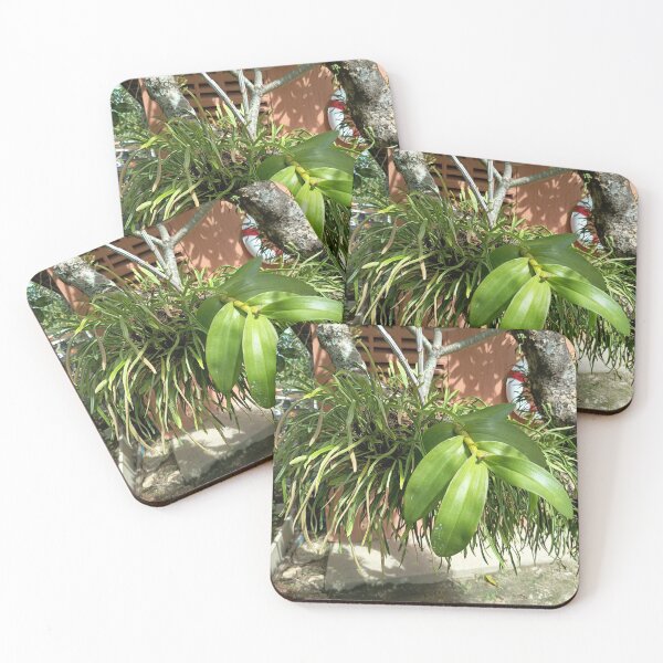 Item preview, Tropical Epiphytic Orchid Growing on a Tree in a Lush Garden designed and sold by PhuongVoArt.