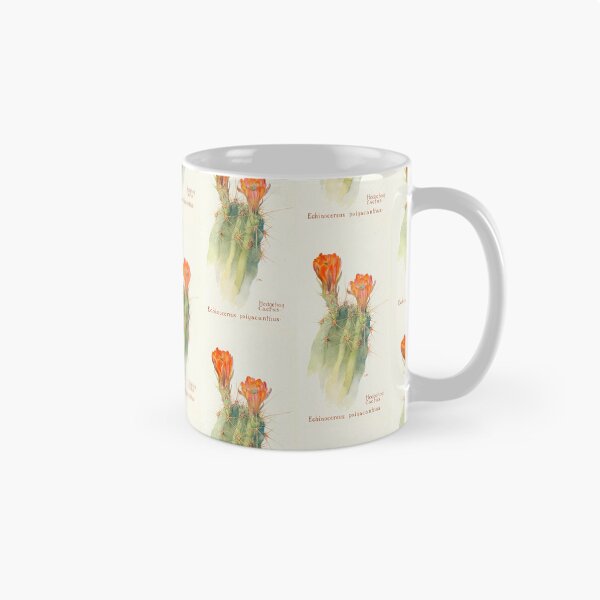 Item preview, Hedgehog Cactus by Margaret Armstrong (1915) designed and sold by Vernissage-dart.