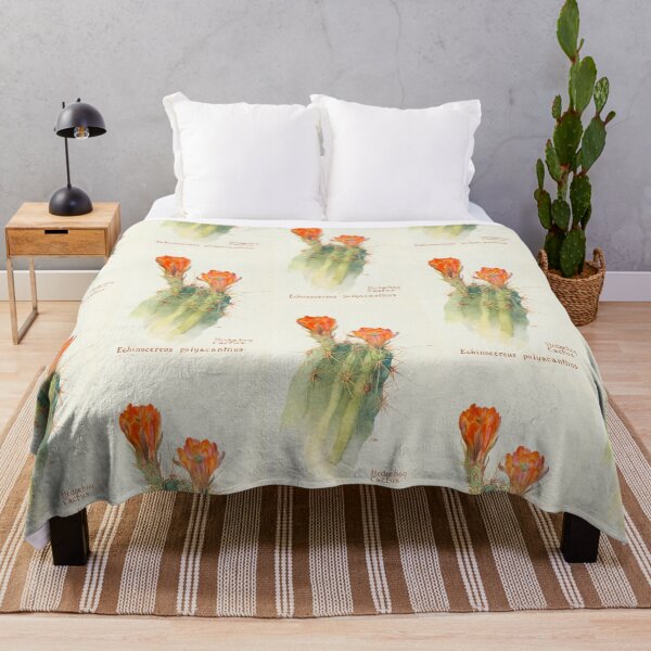 Item preview, Hedgehog Cactus by Margaret Armstrong (1915) designed and sold by Vernissage-dart.